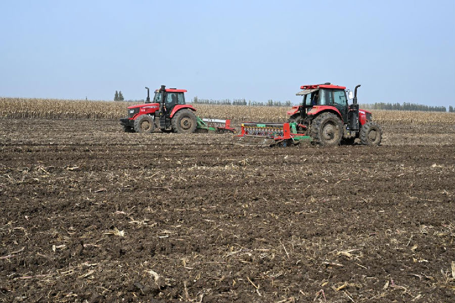 山东省青岛市即墨区段泊岚镇西瓦戈庄村农民驾驶拖拉机播种冬小麦。（张涛 摄）