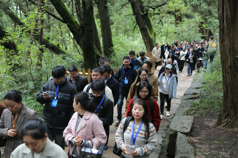 趣味打卡翠云廊（戚原 摄）
