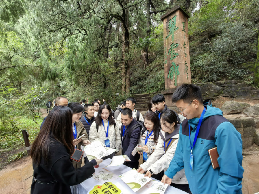 趣味打卡翠云廊（戚原 摄）