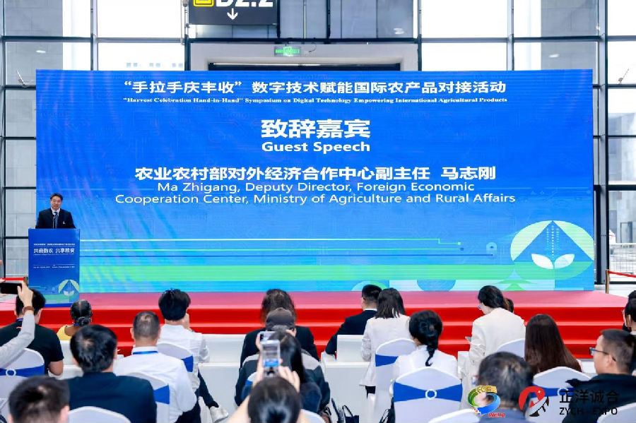 活动现场（朱柳蓉 摄）