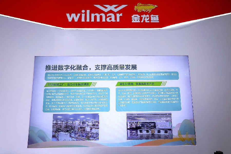 推进数字化融合，支持高质量发展（陈佳慧 摄）