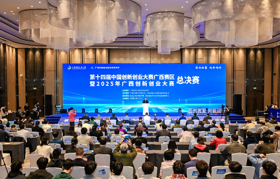 活动现场（詹智琼 摄）