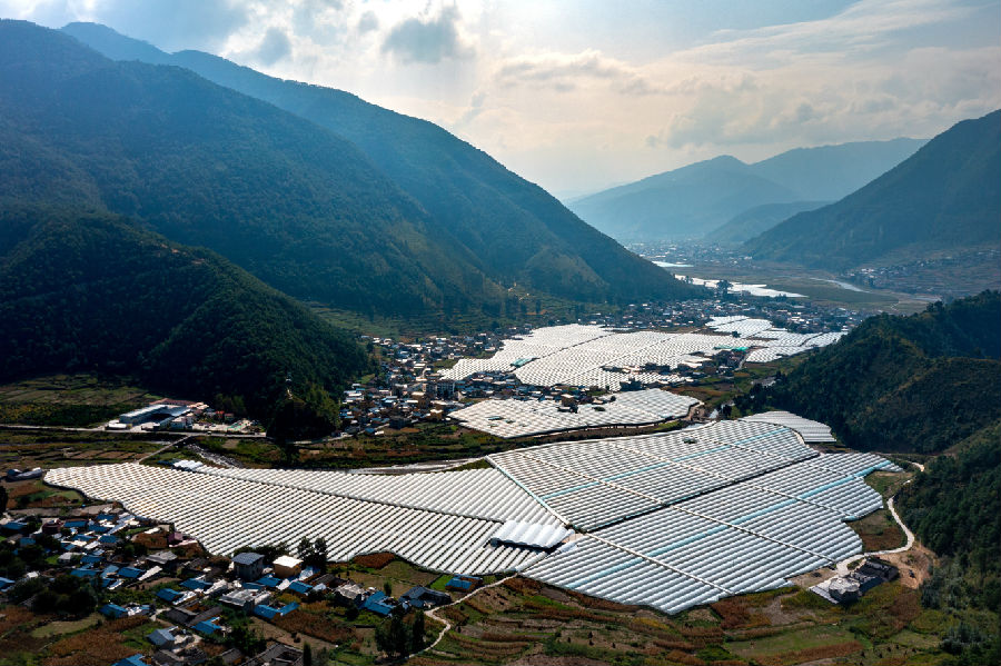 粮经产业园（肖宇  摄）