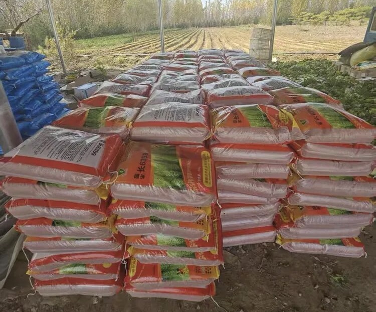 成袋的小麦良种整齐码放（郭学红 摄）