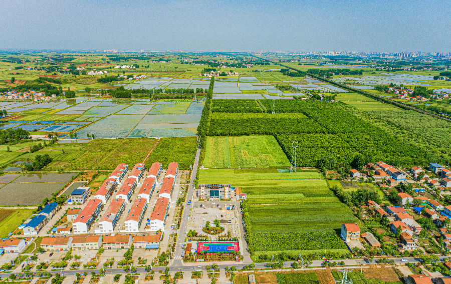 张湖村村容整洁美观、产业兴旺、生活富足。（张沛 摄）