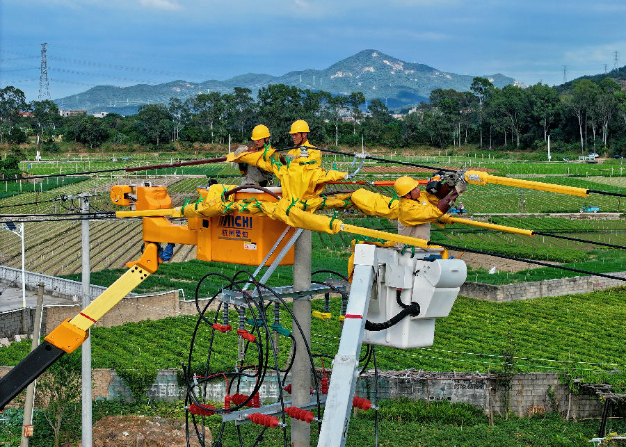 11月6日，国网厦门供电公司不停电中心在同安区进行10千伏天使线中压发电车一次并网作业。（林海斌 摄）