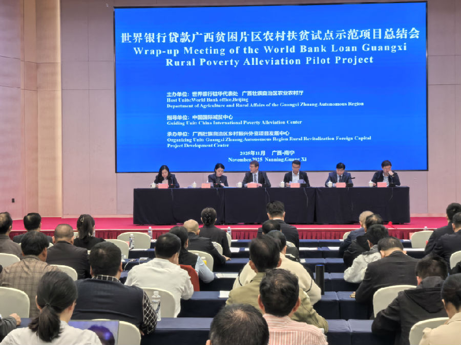 总结会现场 （朱柳蓉 摄）