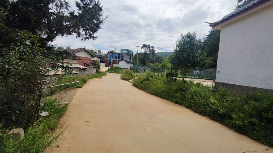 阳保村委会硬化后的水泥路面（程芳 摄）