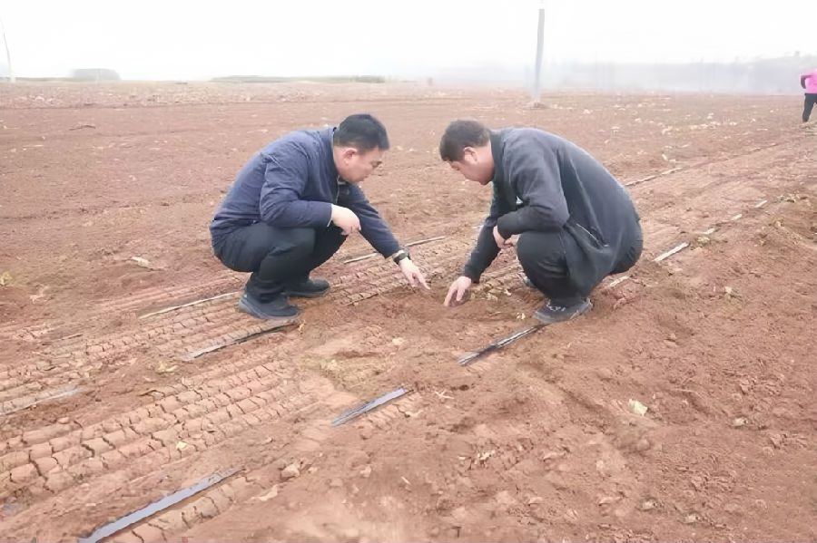  农技人员深入田间指导播种（郭学红 摄）