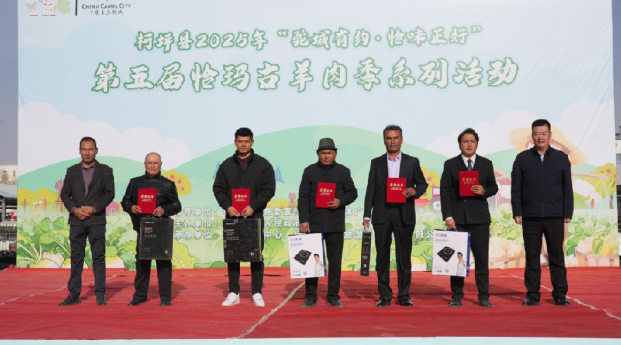 颁发荣誉证书（高依然 摄）