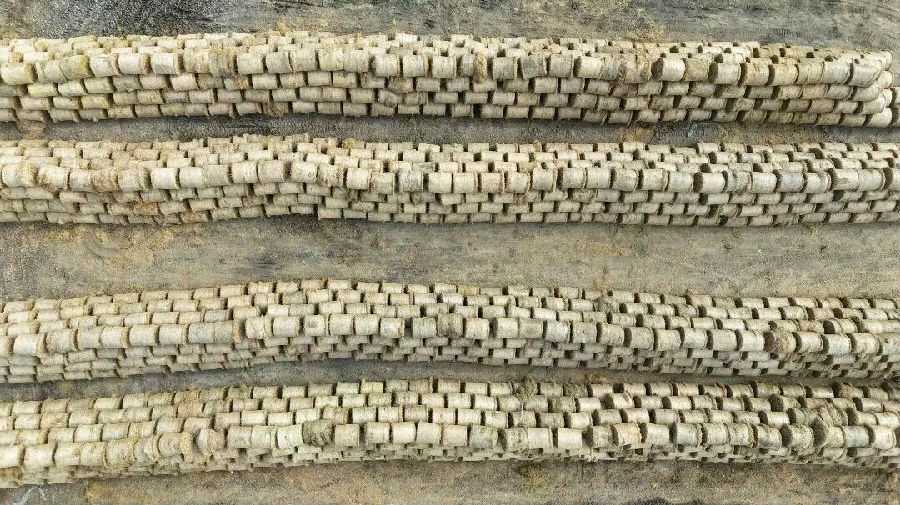 收储中心现场（吴羡 摄）