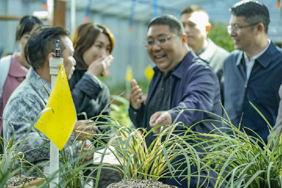 参观兰花基地（李辉 摄）
