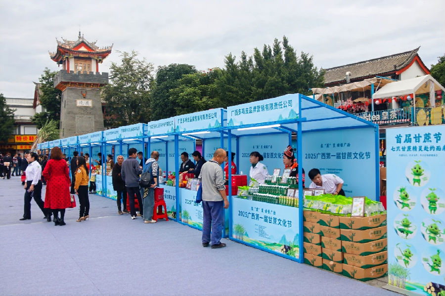 展示展销现场（彭博 摄）