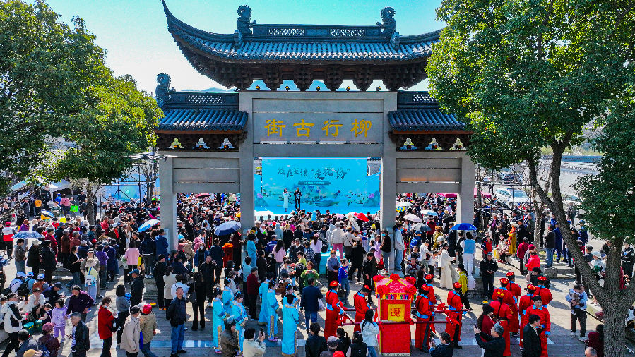  金塘镇赏花周活动（鲍永达 摄）