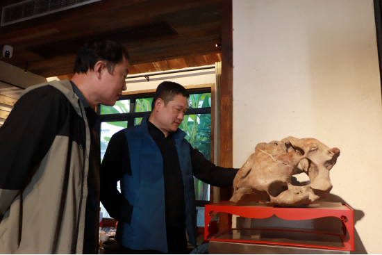 特地从徐州赶来的游客正在观看赏石(彭红玲 摄) 特地从徐州赶来的游客正在观看赏石(彭红玲 摄)