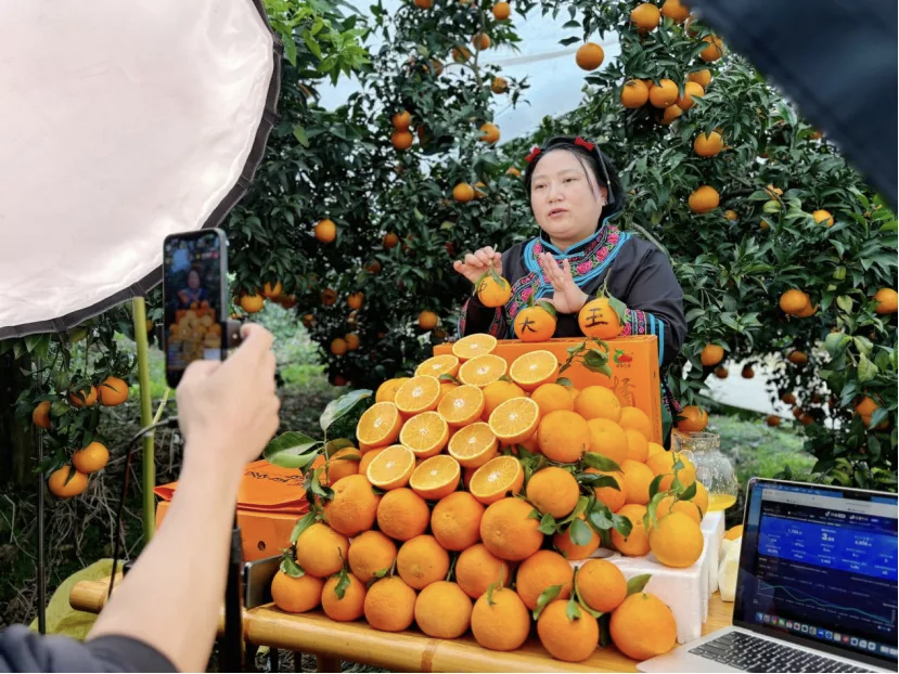 果园直播间（罗敏 摄）