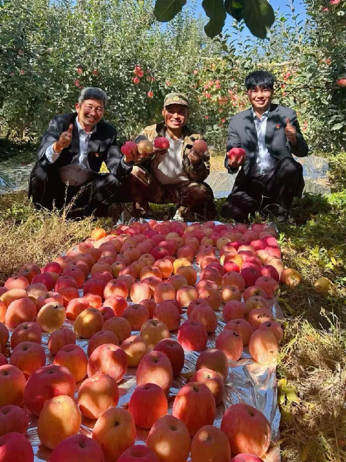 农行温宿县支行客户经理与农户共品丰收喜悦 （王正君 摄）