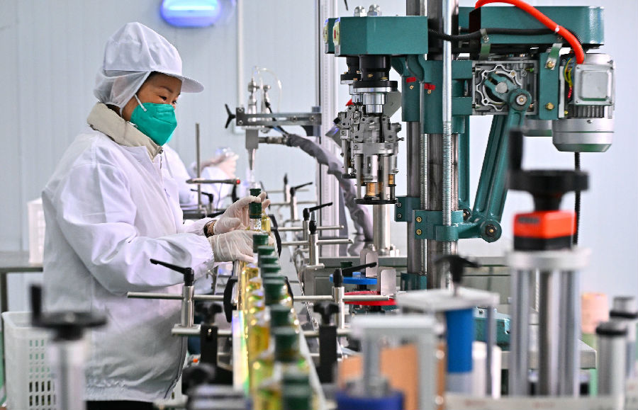 在位于仁寿县汪洋镇联系村的四川卫智达农业开发有限公司山茶油生产车间，工人在岗位上忙碌。（潘帅  摄）