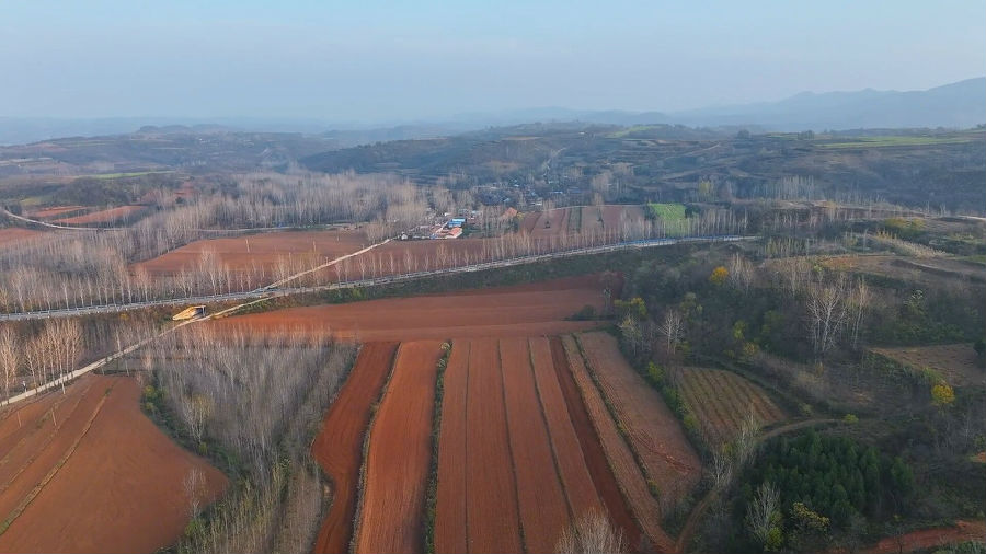 陕州区观音堂镇,一垄垄冬小麦铺展在坡塬之上(陈桃梅 摄) 陕州区观音堂镇,一垄垄冬小麦铺展在坡塬之上(陈桃梅 摄)