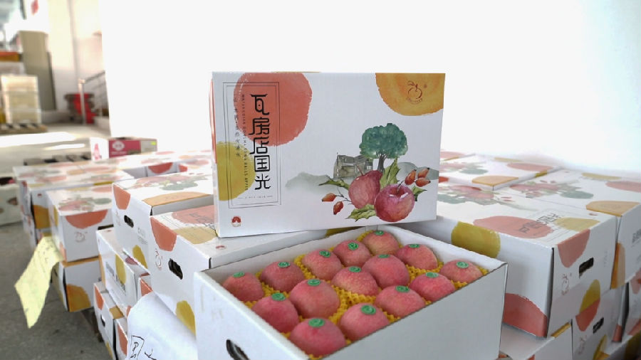 瓦房店苹果（邓钦予 摄）