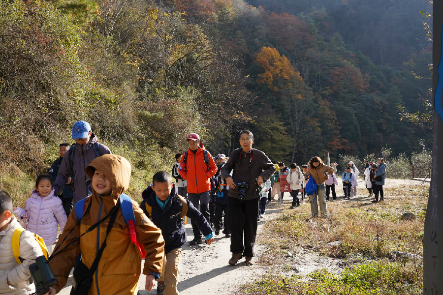 唐家河片区成为秋假亲子游与研学游的热门目的地(曹琳 摄) 唐家河片区成为秋假亲子游与研学游的热门目的地(曹琳 摄)