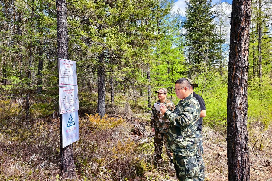 组建专业队伍对松材线虫病等风险开展常态化监测防治（段明琦 摄）