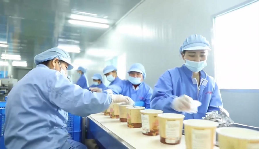 泗州薯业的粉丝生产线（吴天元 摄）