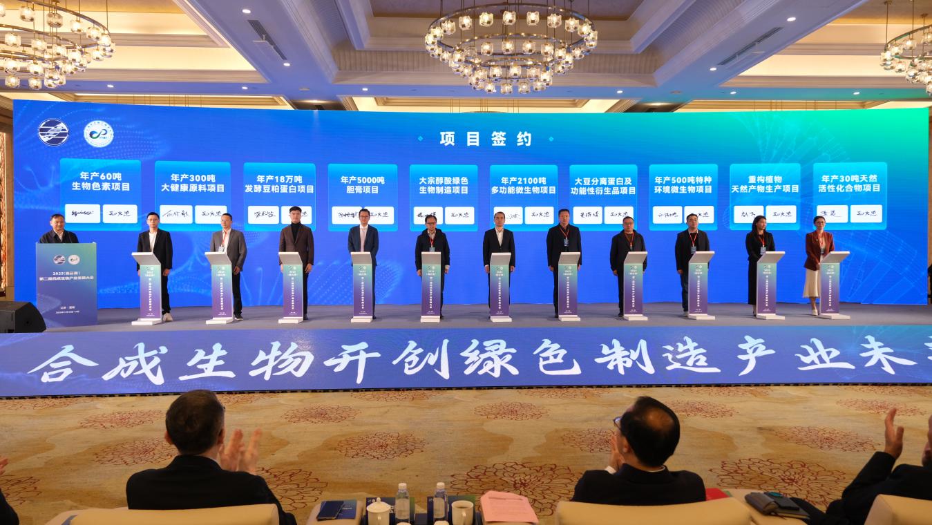 10个重点项目进行了现场签约(孙荪 摄)