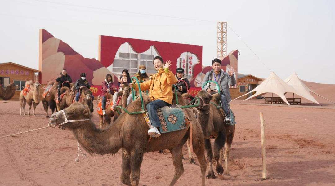 考察团在红沙漠景区体验骑骆驼(艾克拜尔 摄)