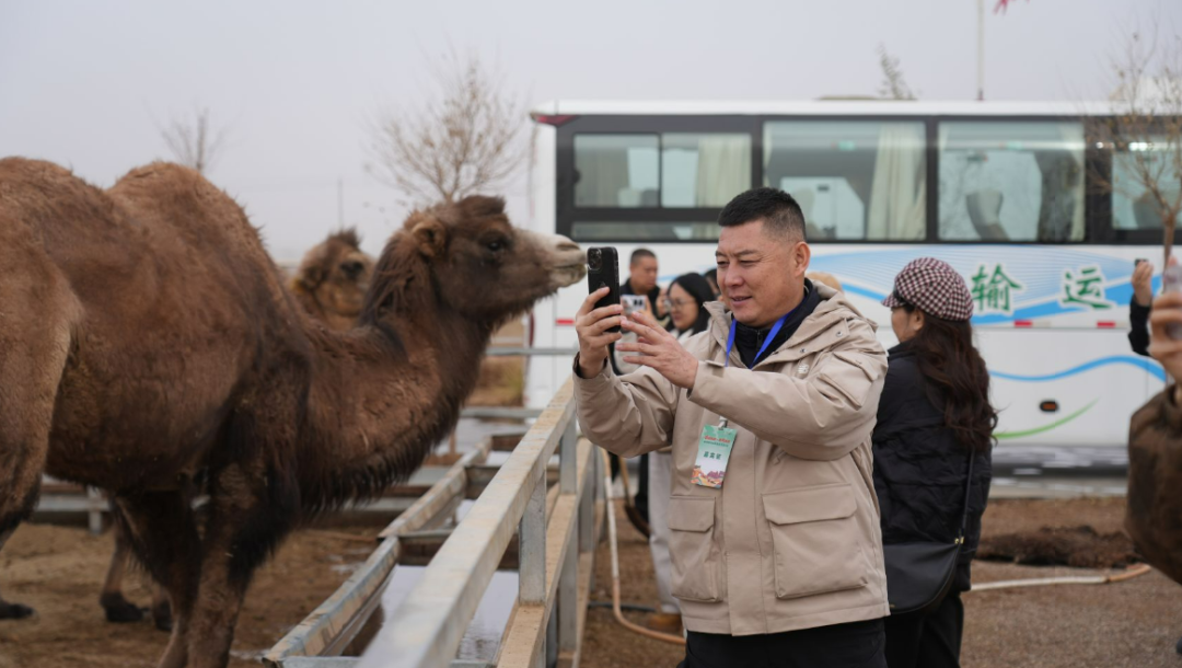 考察团走访万峰驼园(高依然 摄)