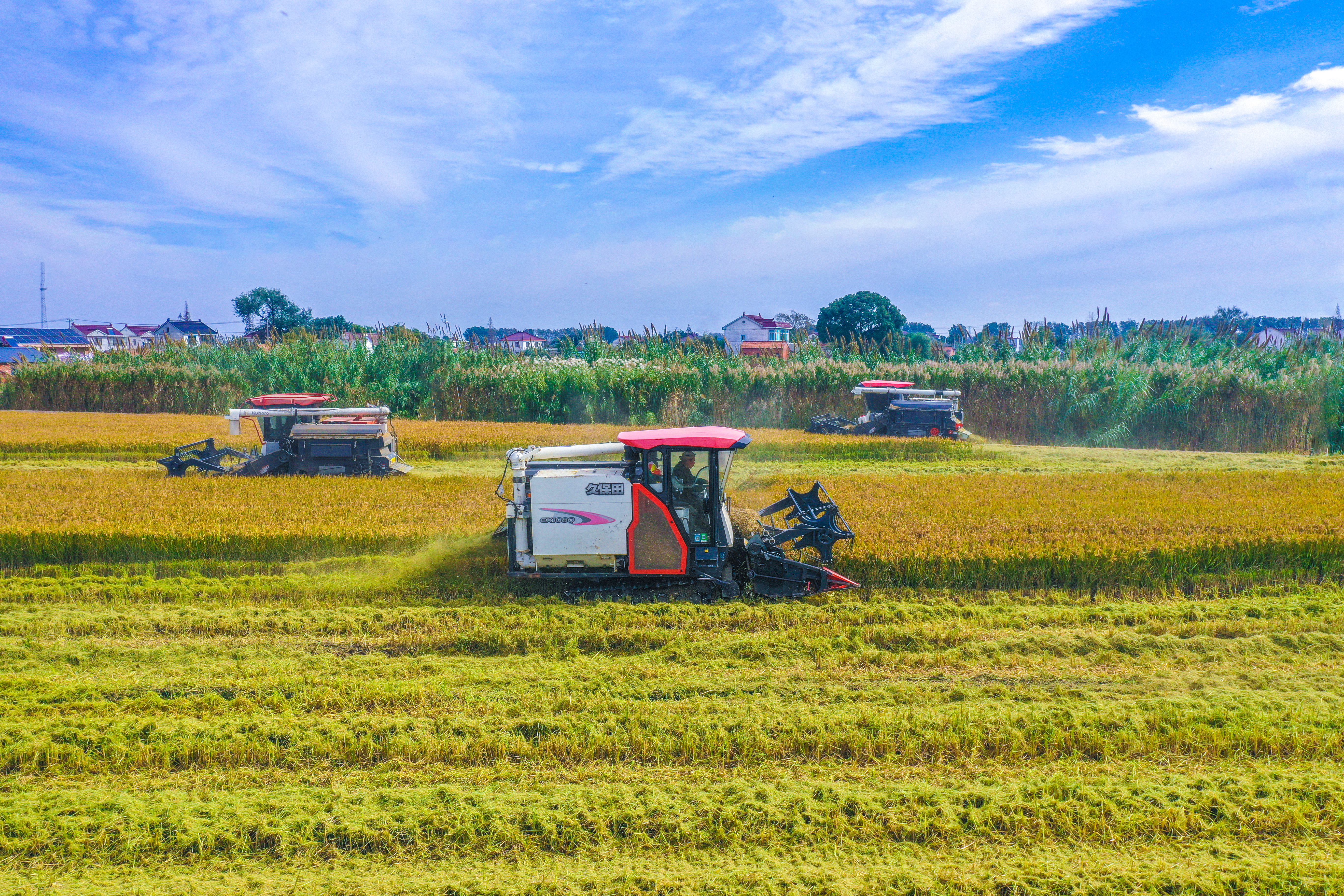 秋季收获的季节(王智聪 摄)