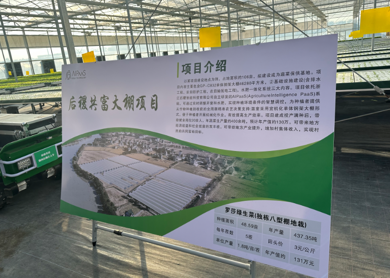 后稷共富大棚一角 (陆丽君 摄)