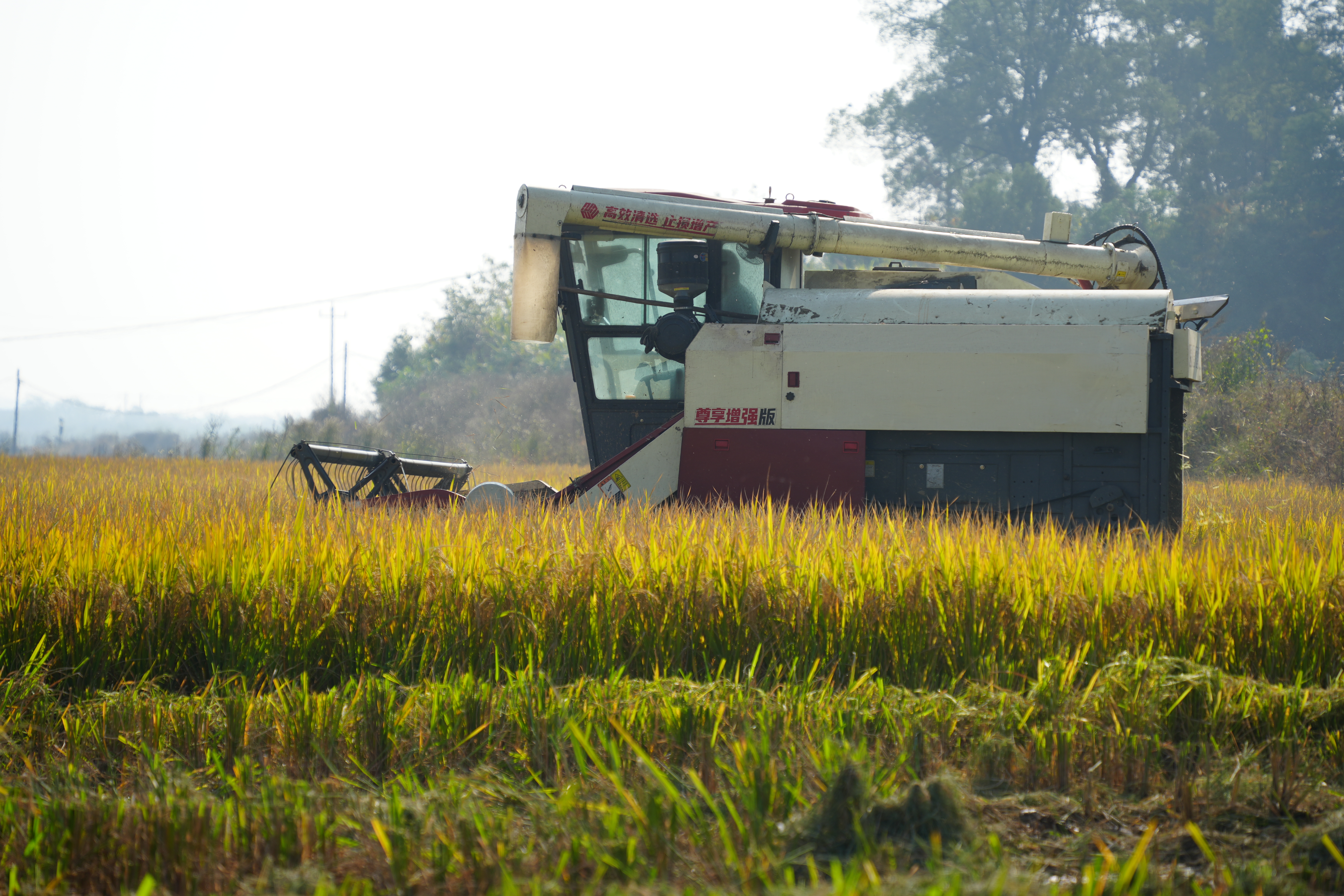 岳阳县大田作物精准变量施肥技术研究与应用项目现场(陈砂 摄)
