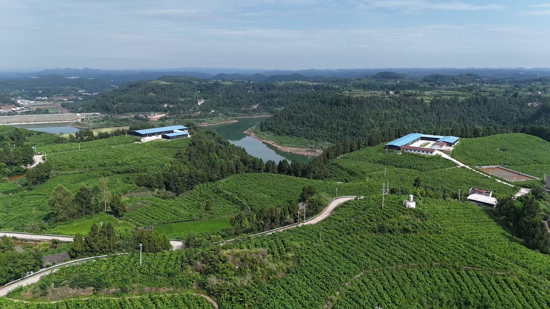 南充蚕桑产业基地(郭建坤 摄)