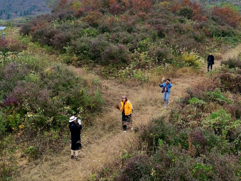 游客前来打卡(行治和 摄) 配图2