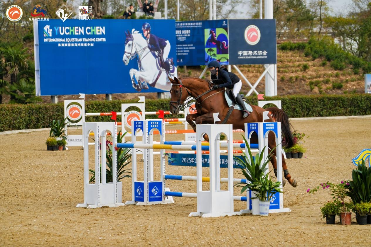 马术比赛现场(王歌 摄)