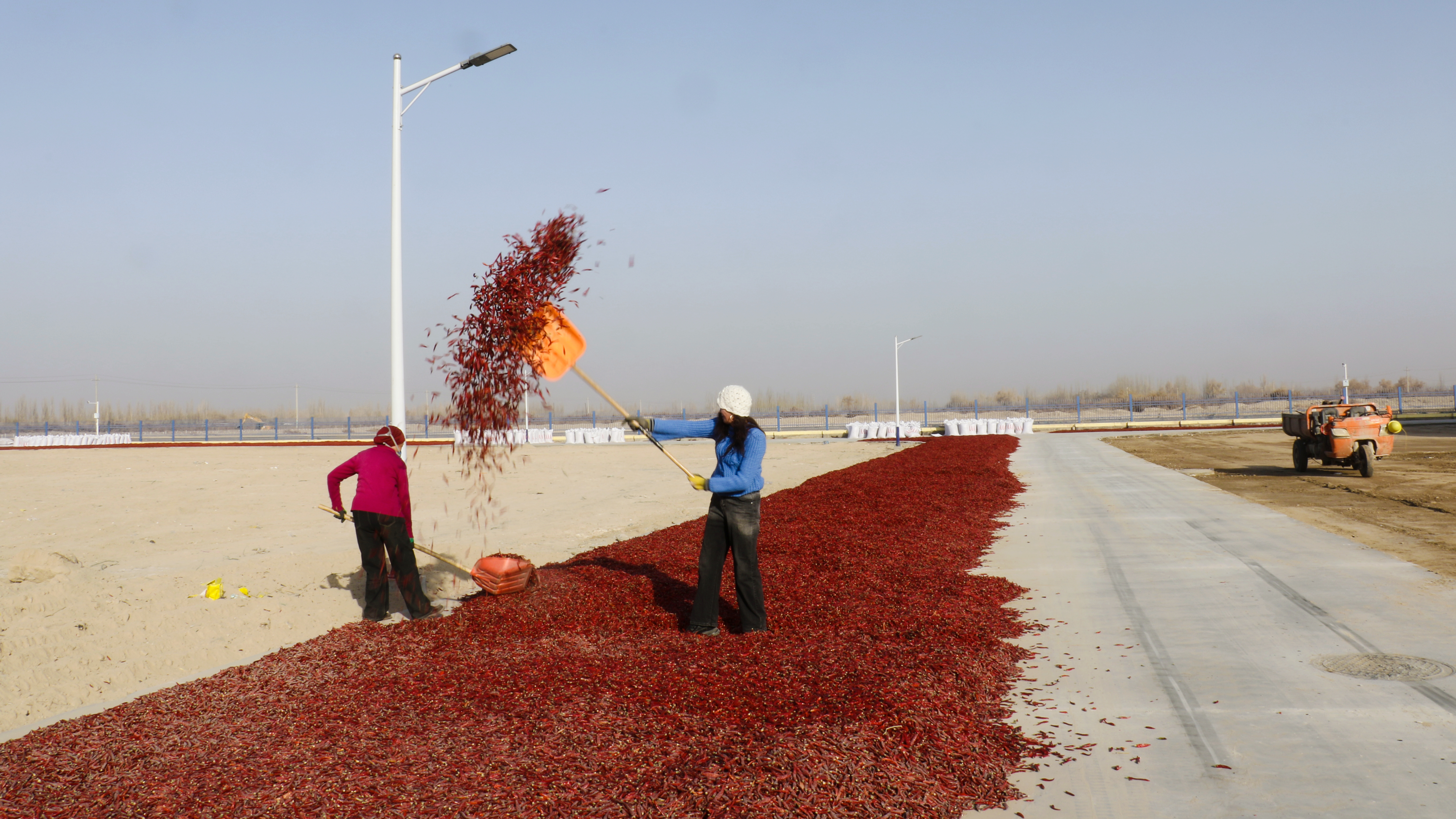 在辣椒厂里,工人们正在晒干辣椒。(王水江 摄)