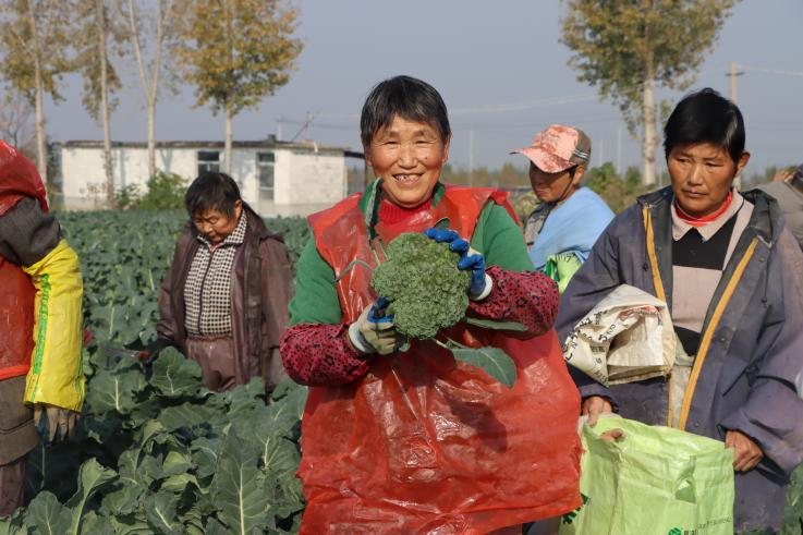丰收的喜悦 (李乐 摄)