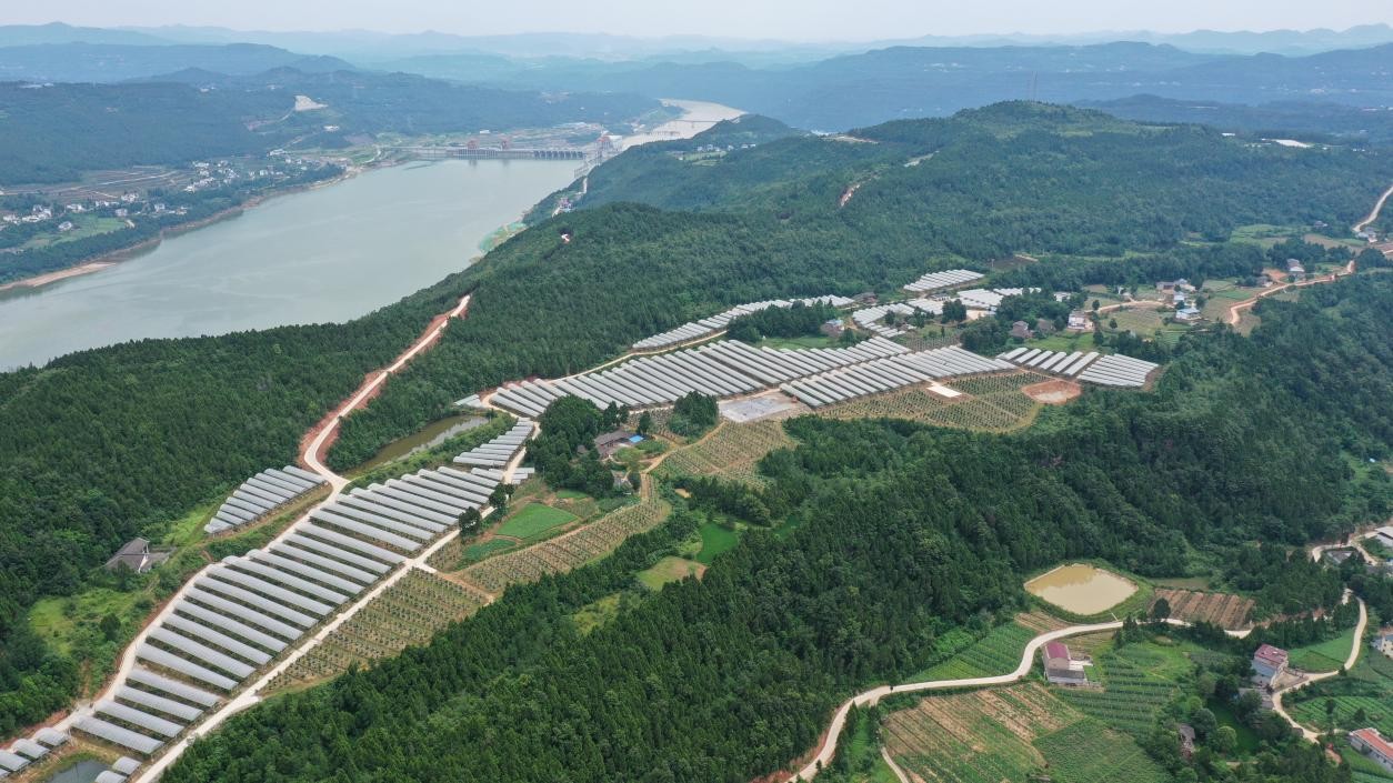 亭子湖现代农业园区(刘徽 摄)