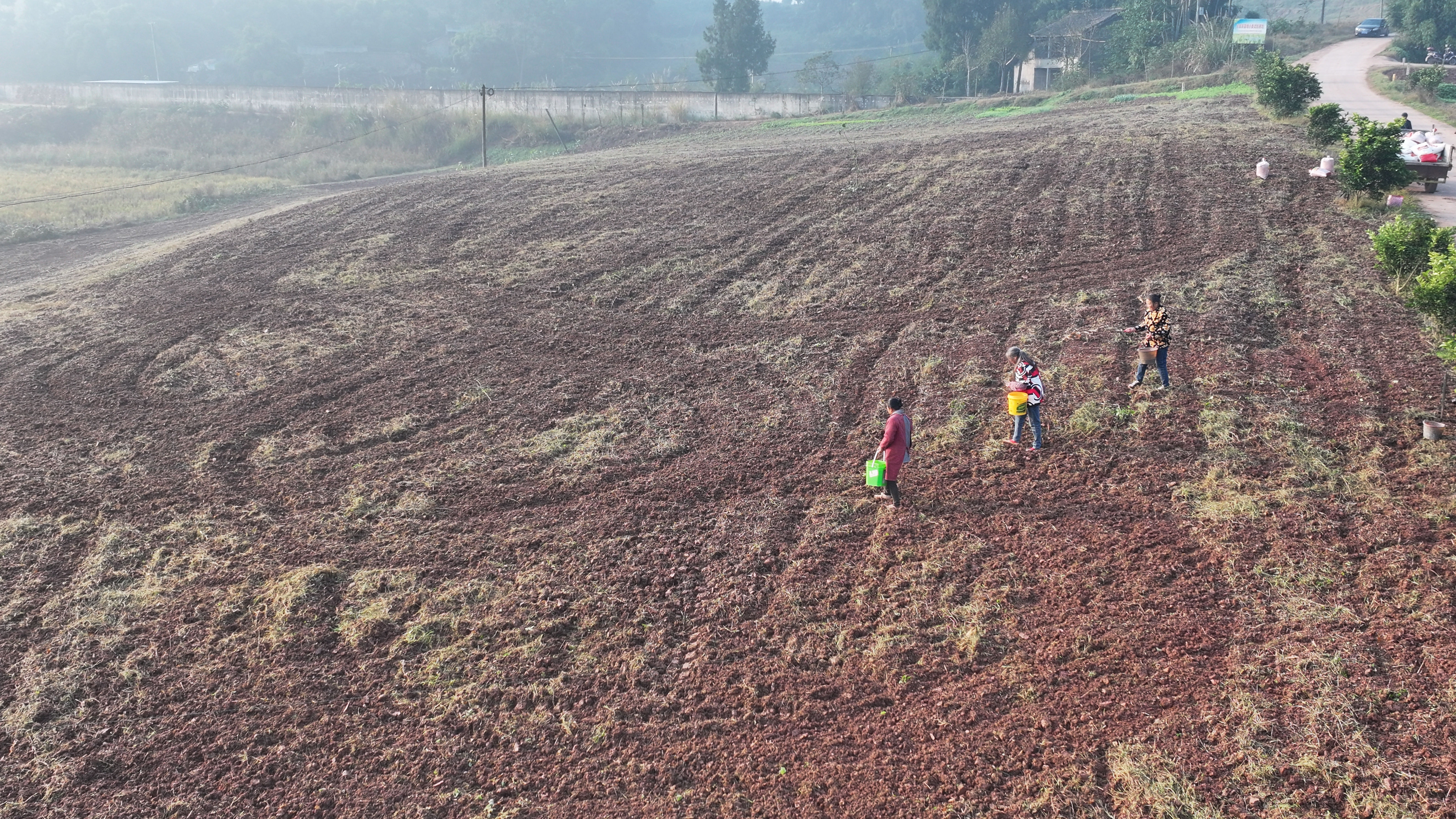 几名村民正弯腰撒麦种(姚阳 摄)