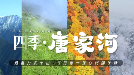 视频 | 四季·唐家河
                                                        