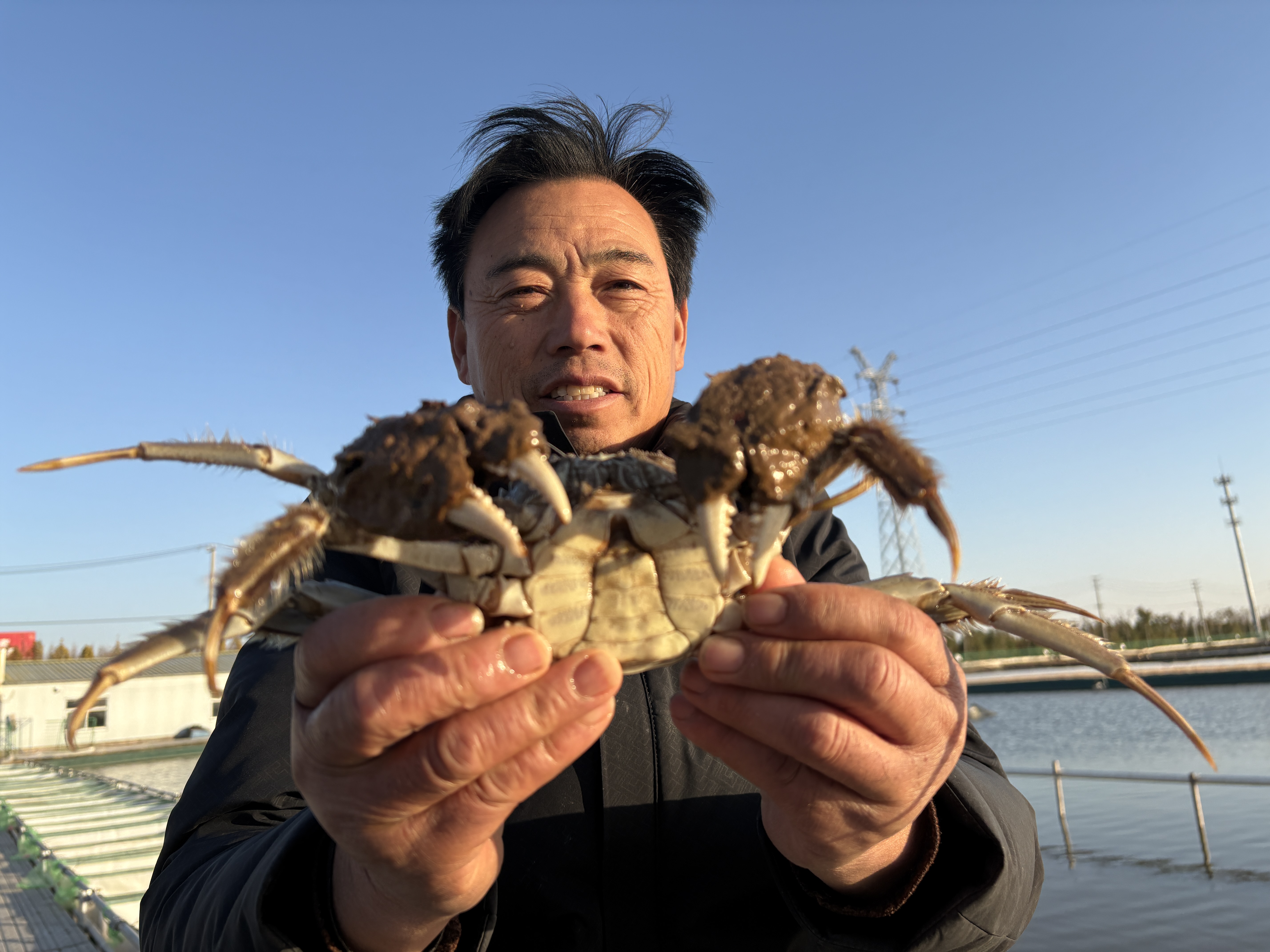 宋成伍向记者展示8两重的精品公蟹(张伟伟 摄)