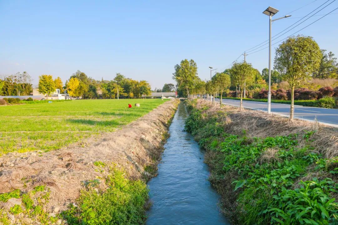 缓缓流动的十斗渠(雷茜 摄)