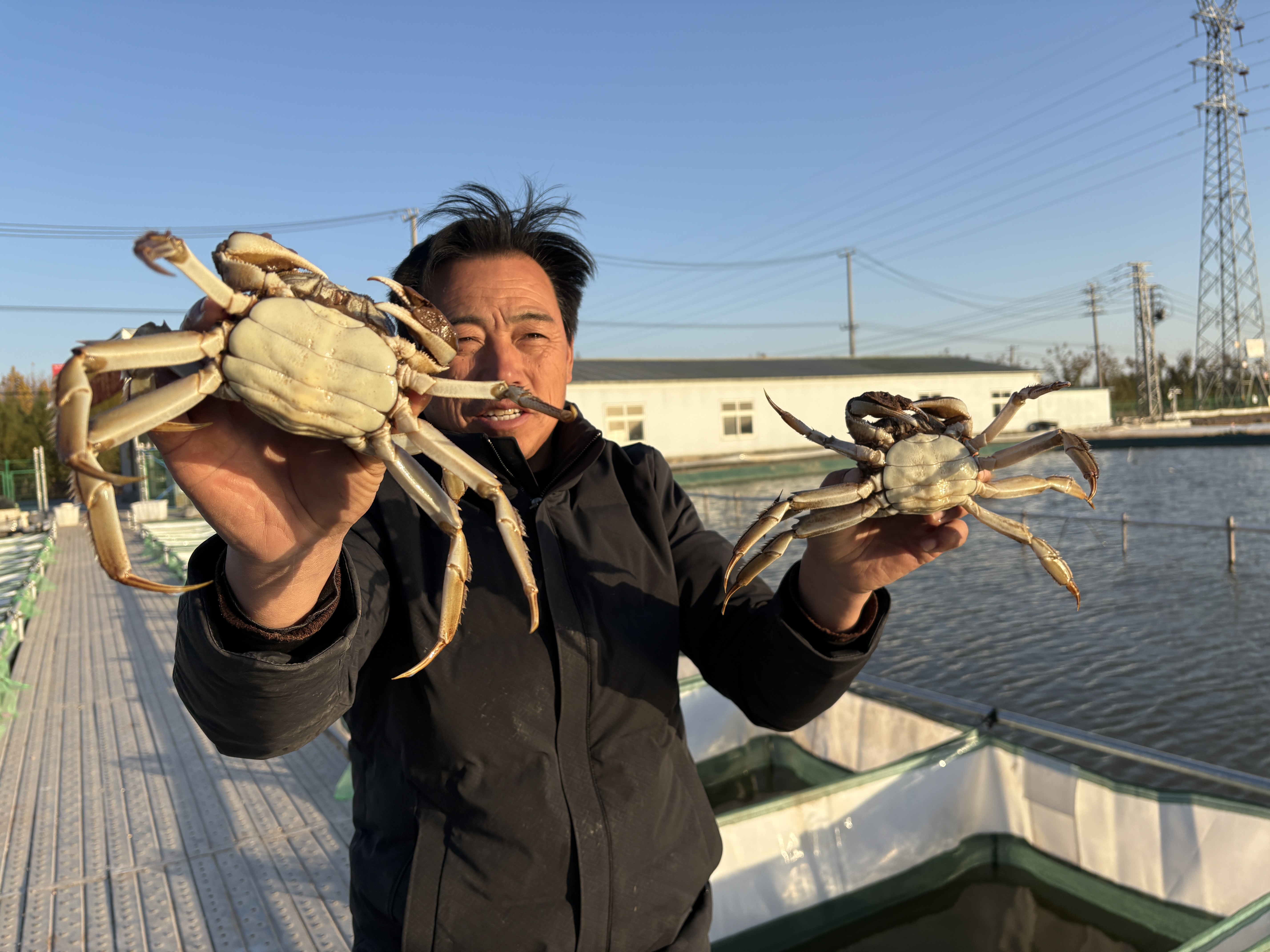 宋成伍向记者展示8两和8.5两重的母蟹(张伟伟 摄)