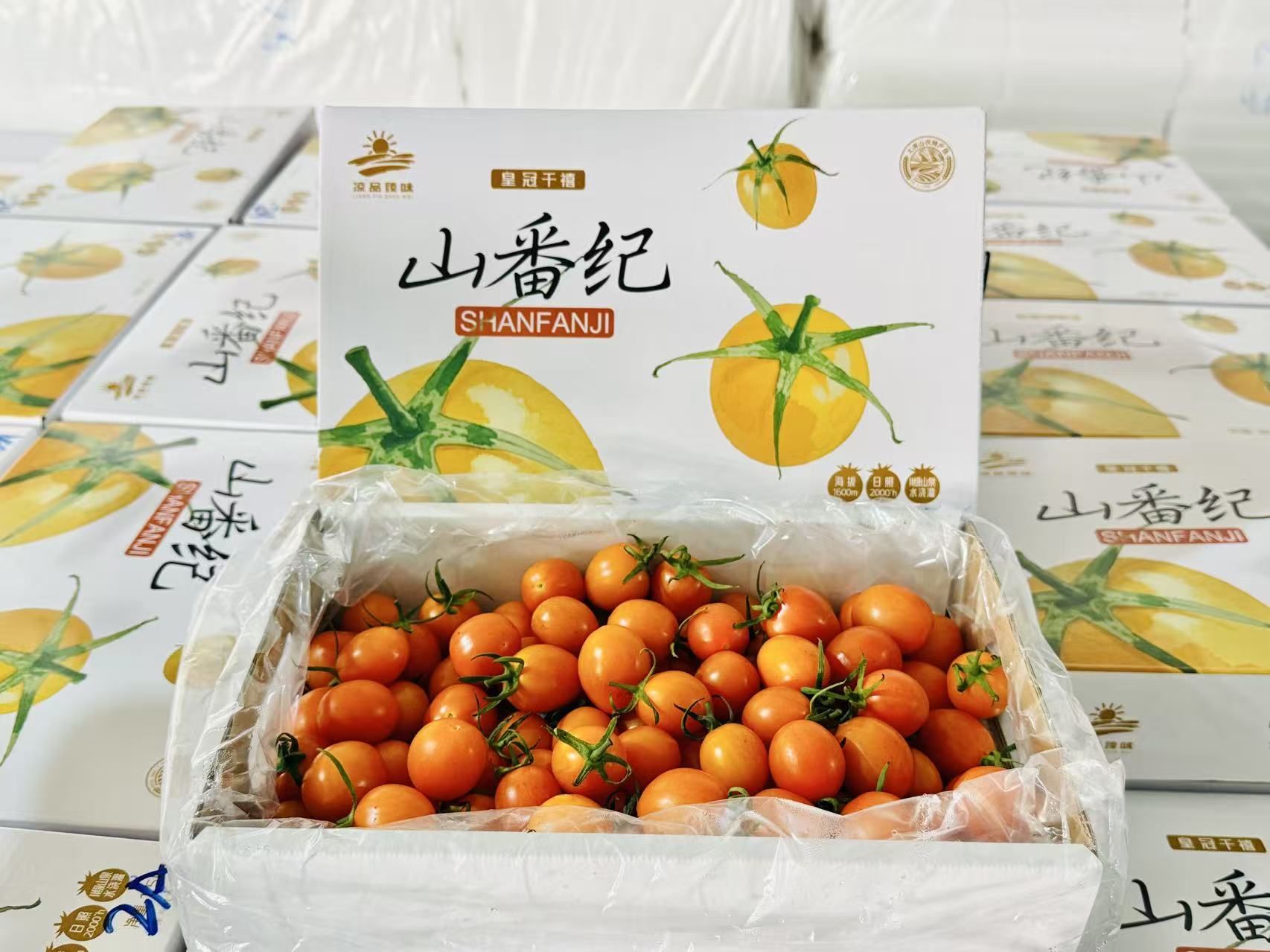 “香芒皇后”番茄(余云换 摄)