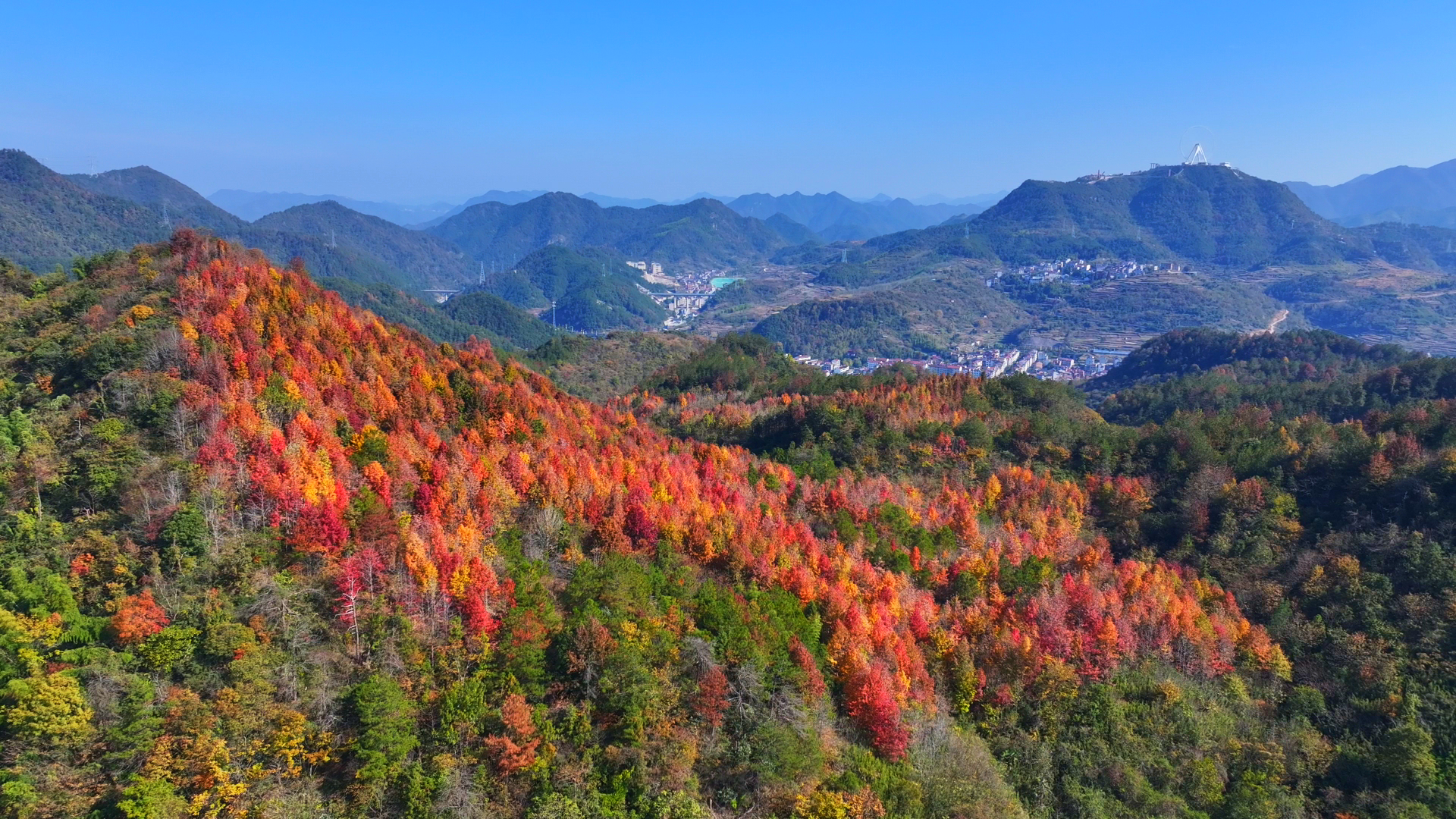磐安县秋色一景 (郑晨光 摄)