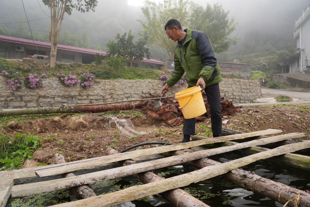 歧坪镇秀宝村村民利用处理后的清水打理菜园(张俊 摄)