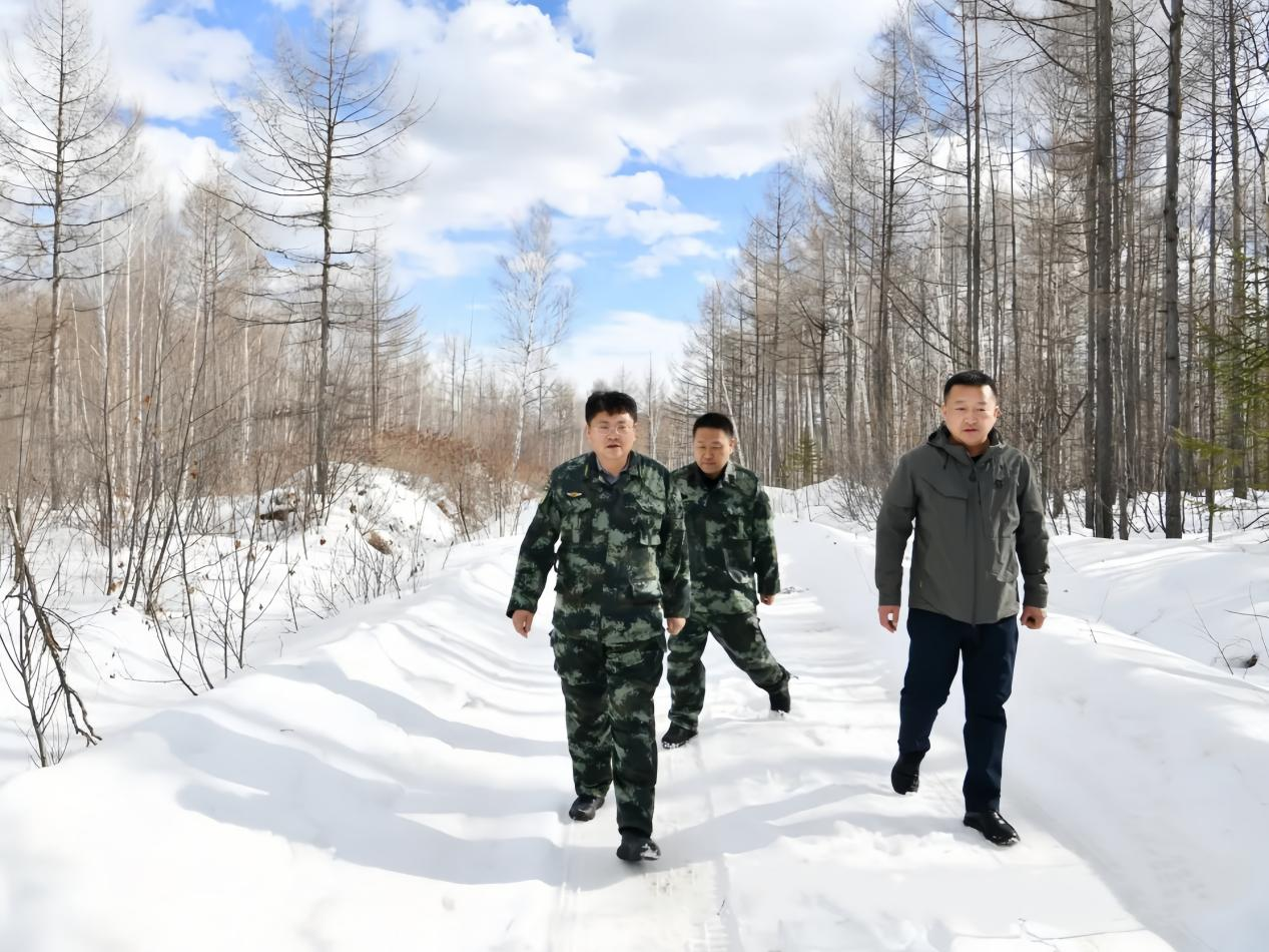 林业局局级林长带队深入一线开展“巡山清套”行动(薛忠旭 摄)