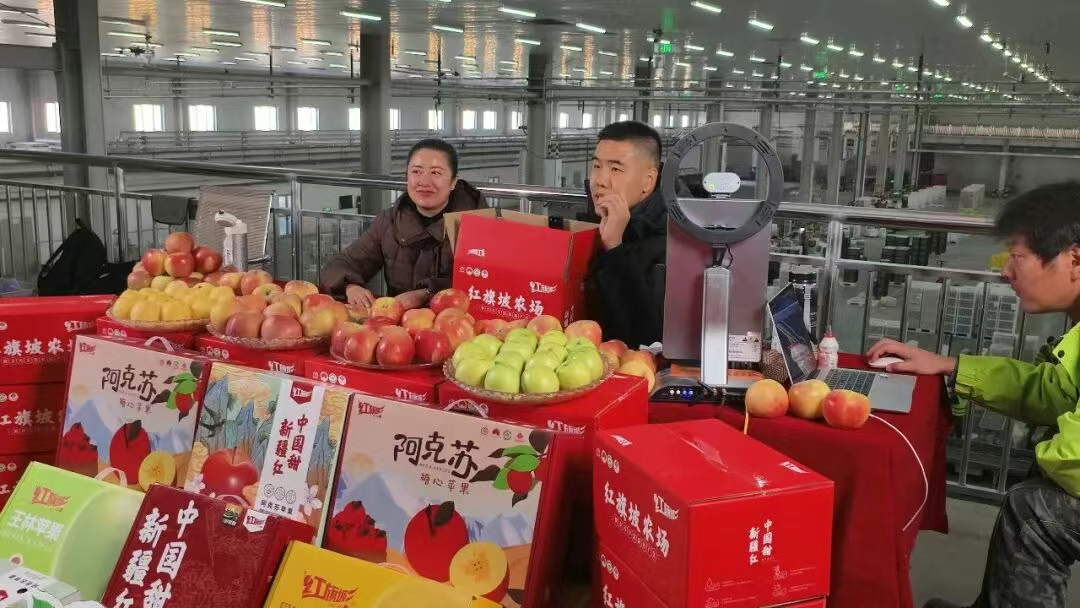 公司员工正在苹果分选线前直播售卖阿克苏冰糖心苹果(李可施 摄)