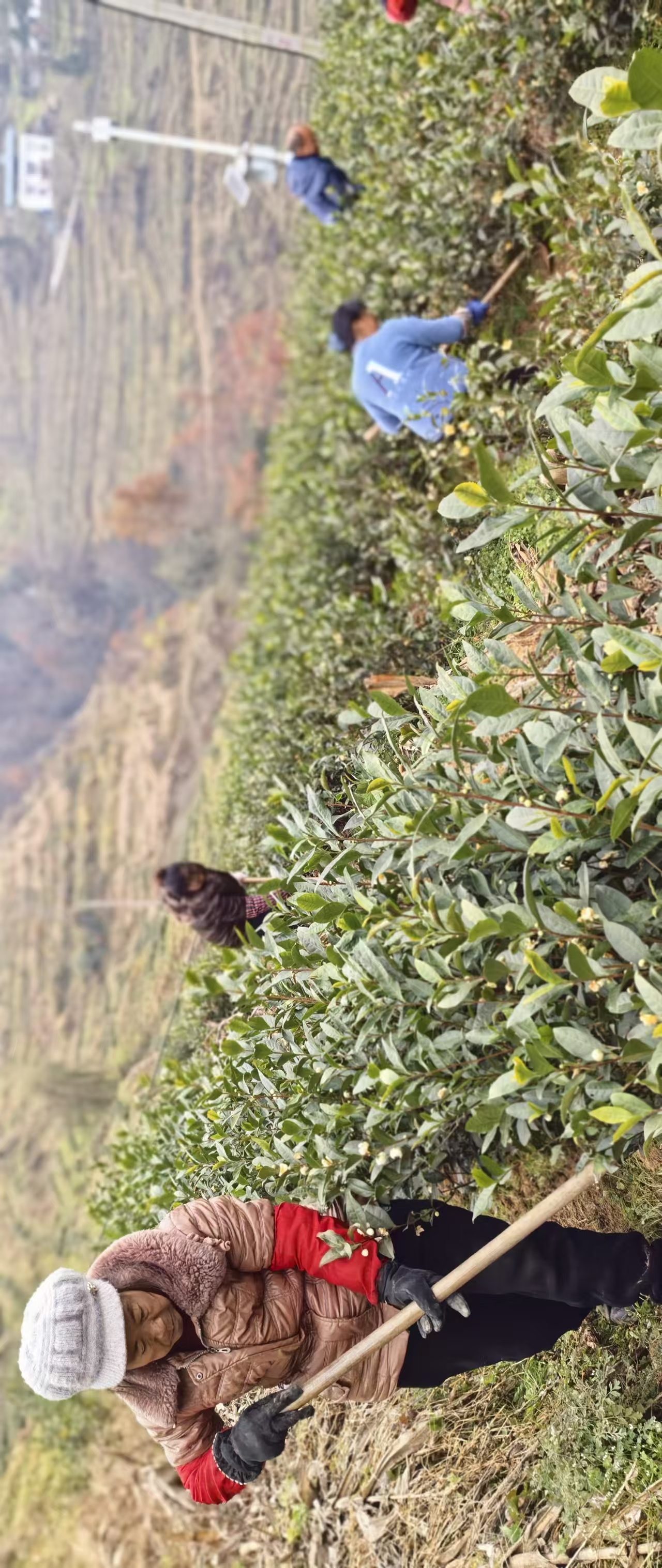 “白叶一号”冬管现场(龚奥敏 摄)